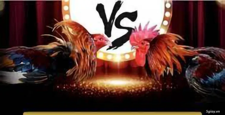 Trải Nghiệm Đá Gà V9Bet Với Sảnh Cá Cược Trực Tuyến Hấp Dẫn