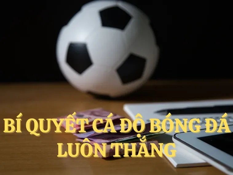 Tìm Hiểu Cá Cược Bóng Đá Tại V9Bet Với Nhiều Trải Nghiệm Hấp Dẫn 2 Tìm Hiểu Cá Cược Bóng Đá Tại V9Bet Với Nhiều Trải Nghiệm Hấp Dẫn