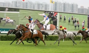 Tìm Hiểu Cá Cược Đua Ngựa V9Bet Với Luật Chơi Cơ Bản 4 Tìm Hiểu Cá Cược Đua Ngựa V9Bet Với Luật Chơi Cơ Bản