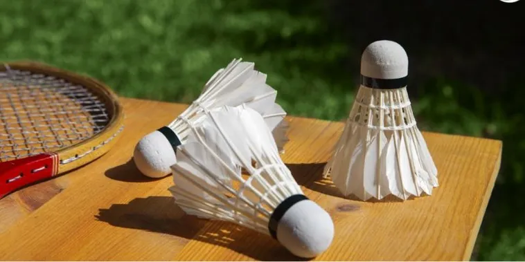 Cách Chơi Cá Cược Cầu Lông An Toàn Hiệu Quả Tại V9Bet 2 Cách Chơi Cá Cược Cầu Lông An Toàn Hiệu Quả Tại V9Bet