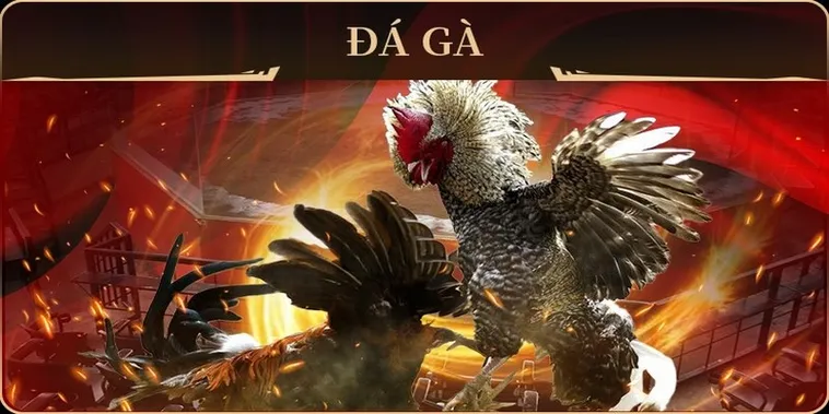 Cách Chơi Đá Gà GA28 Tại V9Bet Với Luật Và Mẹo Thắng 2 Cách Chơi Đá Gà GA28 Tại V9Bet Với Luật Và Mẹo Thắng
