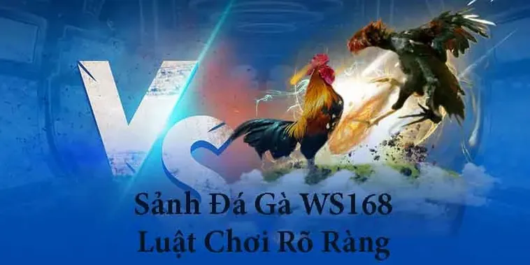 Cách Chơi Đá Gà WS168 Tại V9Bet Hiệu Quả Chi Tiết 2 Cách Chơi Đá Gà WS168 Tại V9Bet Hiệu Quả Chi Tiết