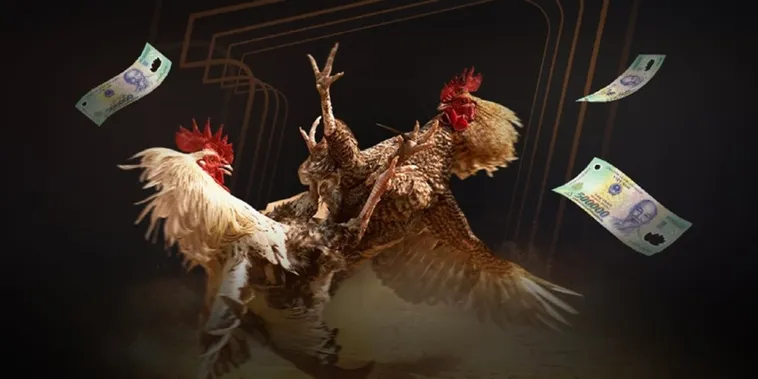 Trải Nghiệm Đá Gà V9Bet Với Sảnh Cá Cược Trực Tuyến Hấp Dẫn